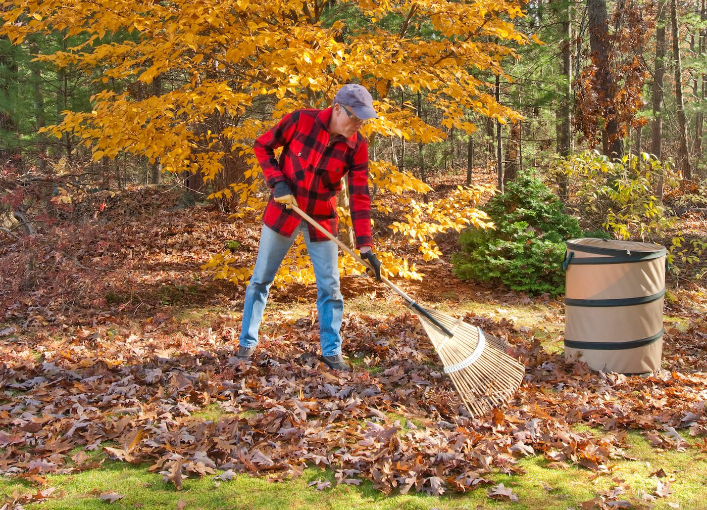 Person Raking Leaves in the Fall (1)